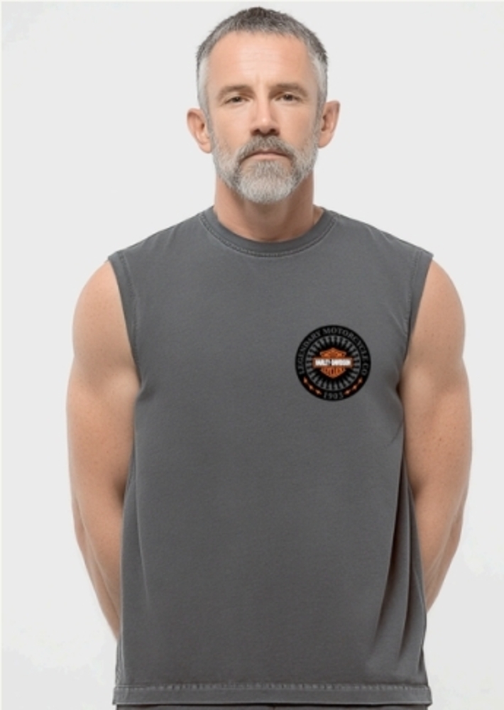 galeria REGATA MASCULINA NACIONAL HEAVY 2.0 LIGHTNING BADGE