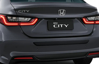 PROTETOR CENTRAL DE PARA-CHOQUE TRASEIRO - BORRACHA