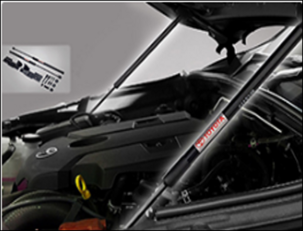 galeria ASSISTENTE ABERTURA CAPÔ