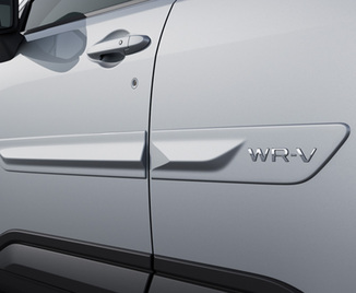 FRISO DE PORTAS COM LOGO PRATA PLATINUM M