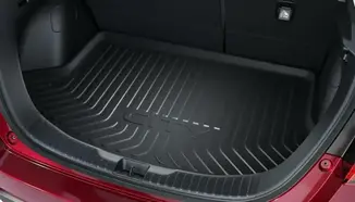 BANDEJA DE PORTA-MALAS 