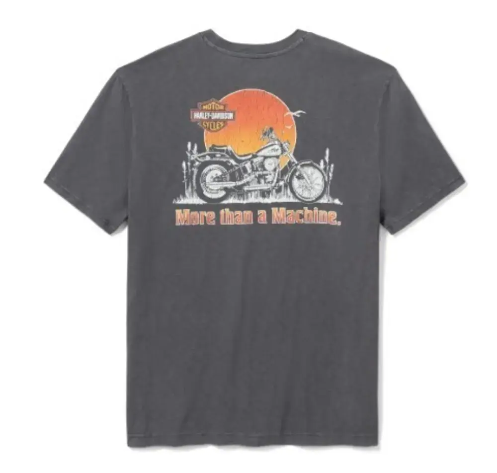 galeria CAMISETA MASCULINA SOFTAIL SUNSET