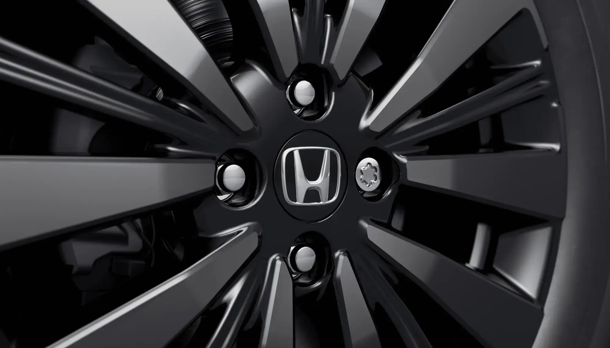 galeria PORCA ANTIFURTOS RODAS