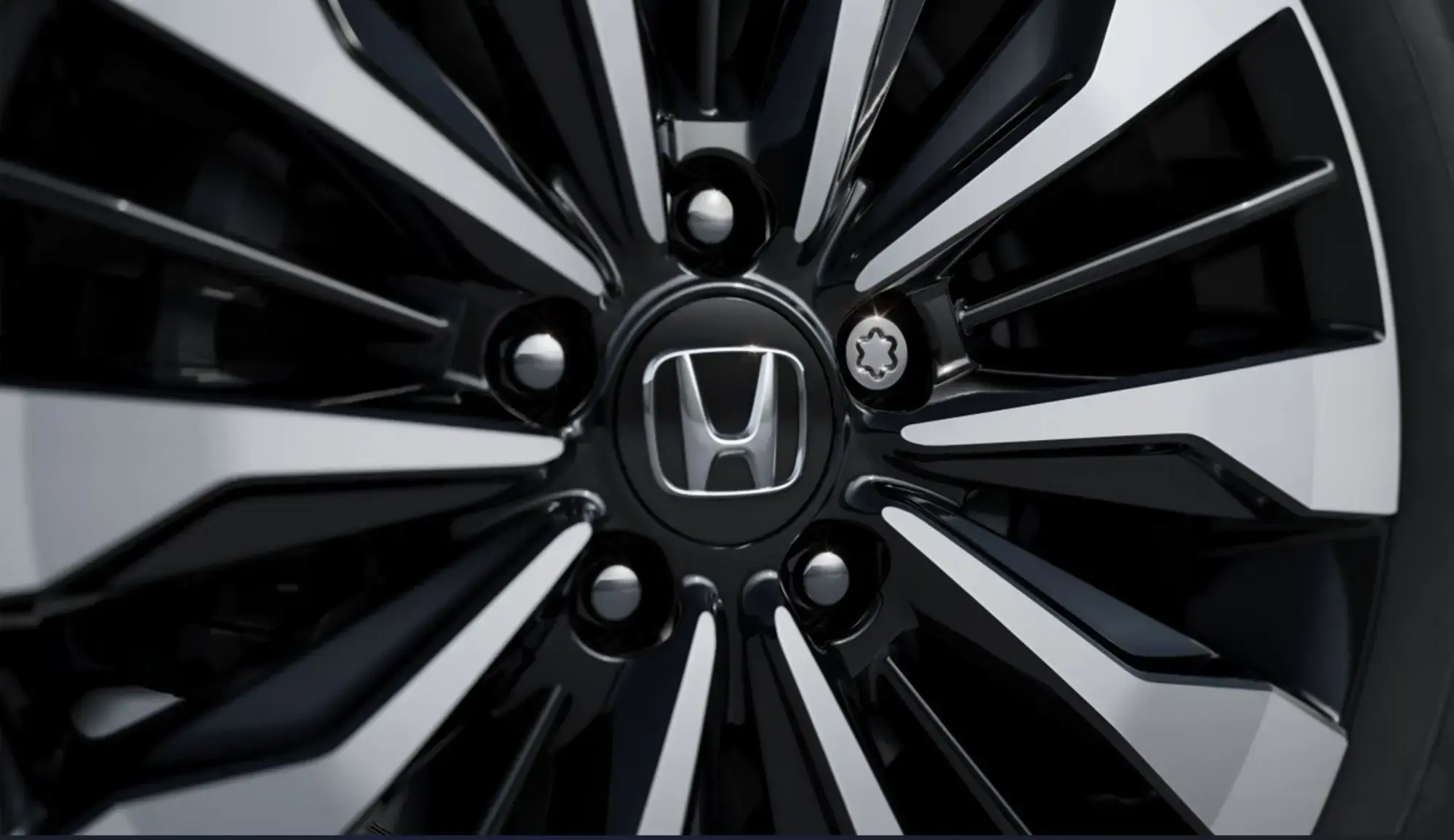 galeria PORCA ANTIFURTO