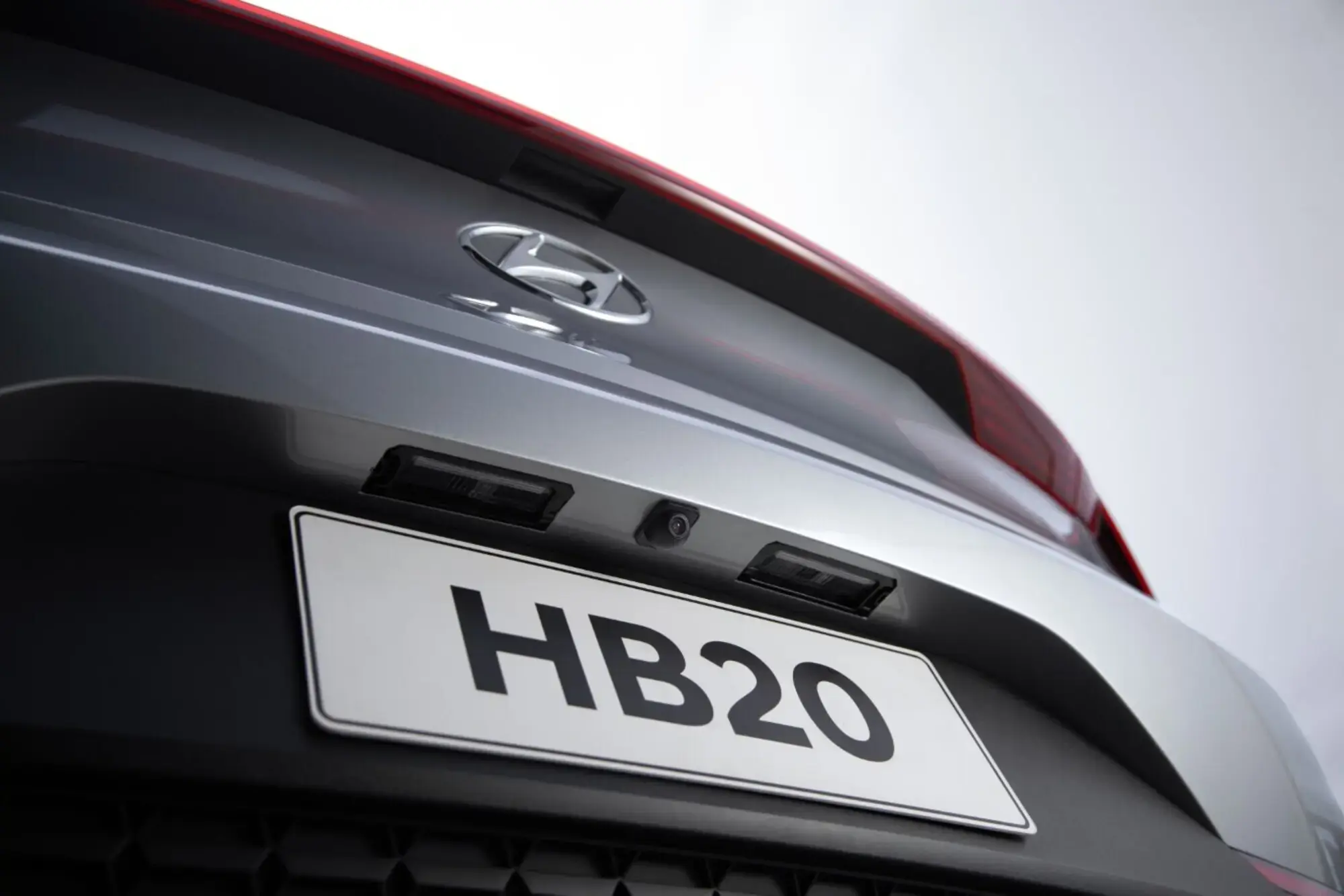 galeria CAMERA DE RE TARTARUGA