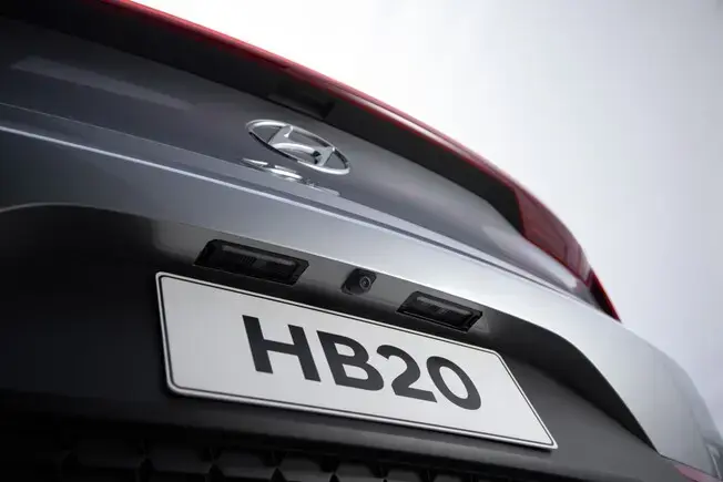 CAMERA DE RE TARTARUGA