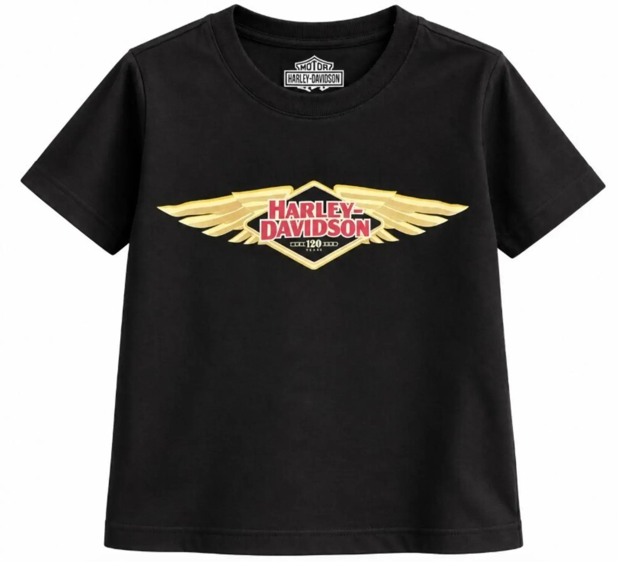 galeria CAMISETA INFANTIL NACIONAL 120TH ANNIVERSARY H-D