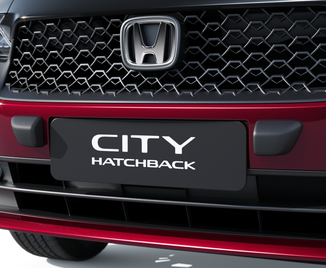 Protetor Central de Para-Choque Frontal New City