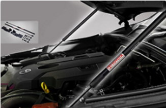 ASSISTENTE ABERTURA CAPÔ 