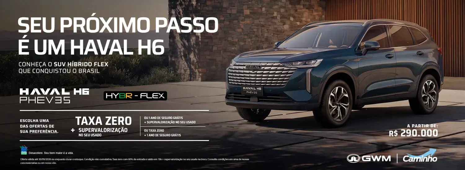 Haval H6 Phev 35