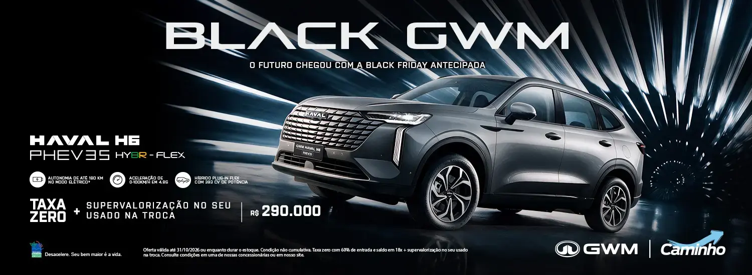 Haval H6 Phev 35