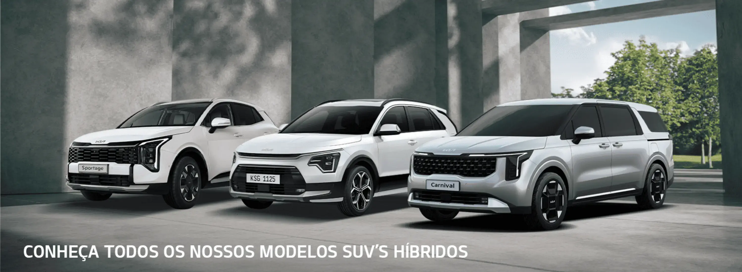 banner suvs