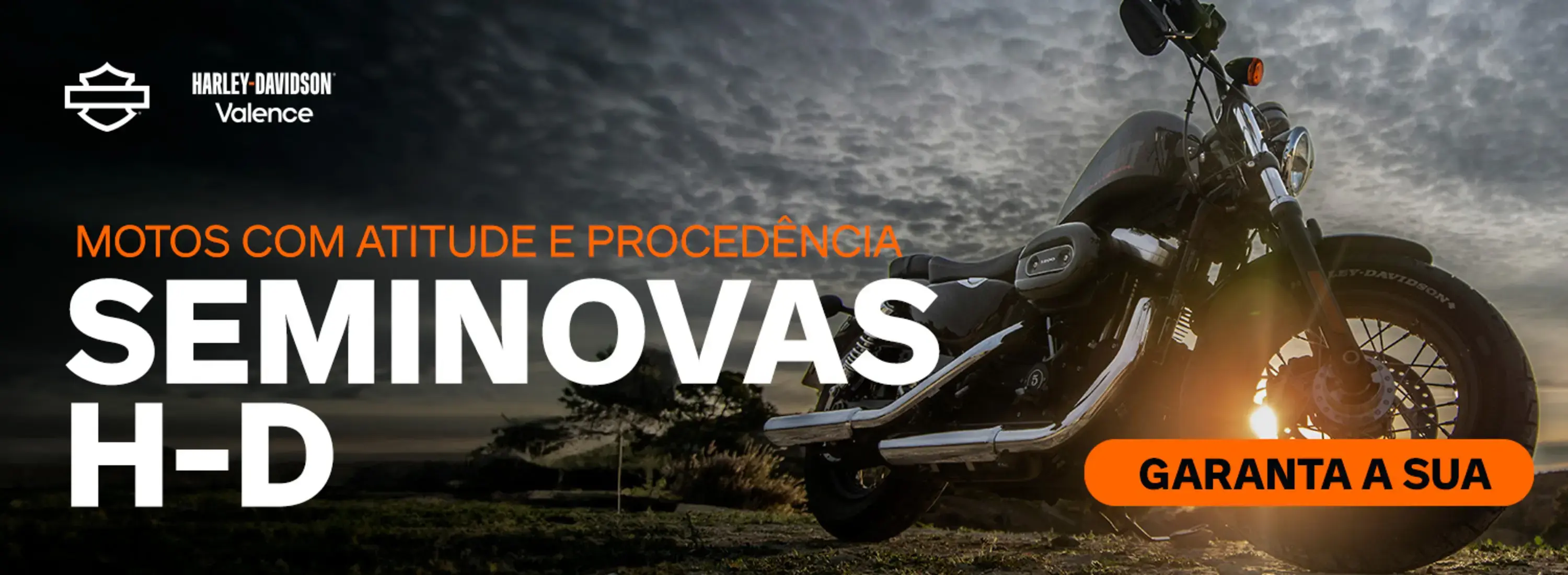 SEMINOVAS H-D