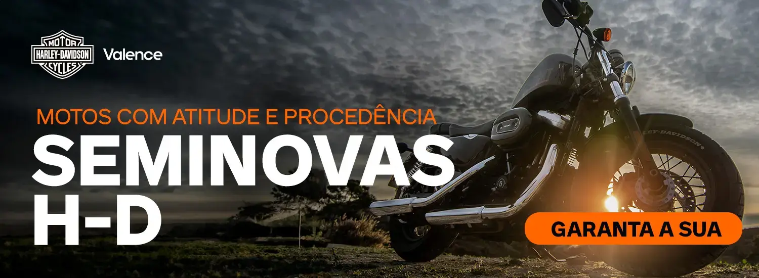 SEMINOVAS H-D
