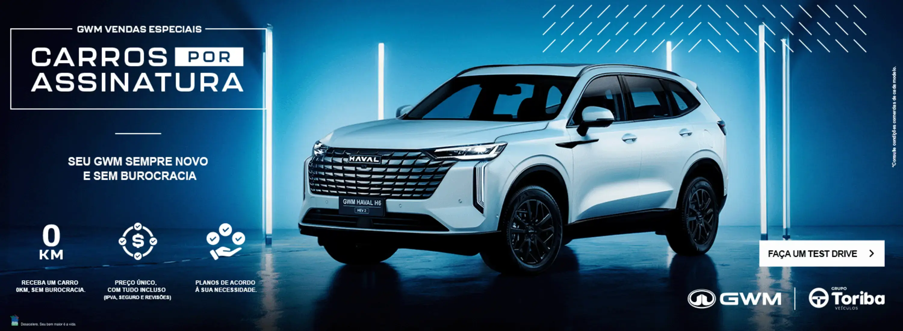 HAVAL POR ASSINATURA 