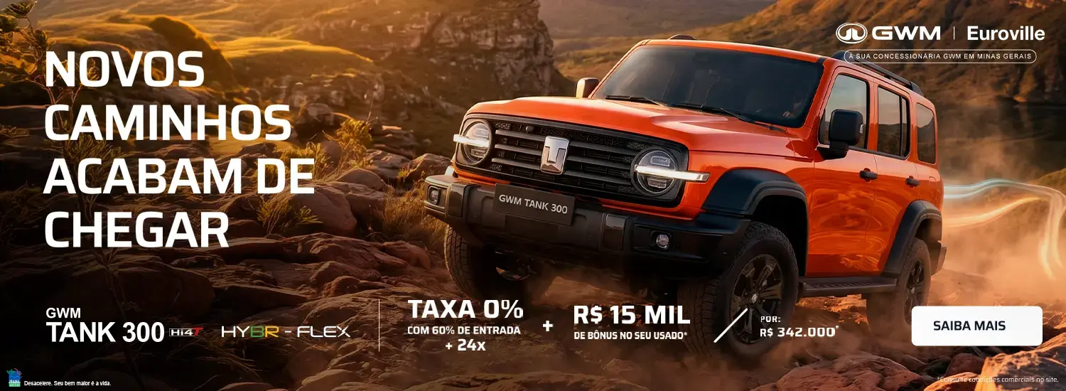 Tank 300-MAIO