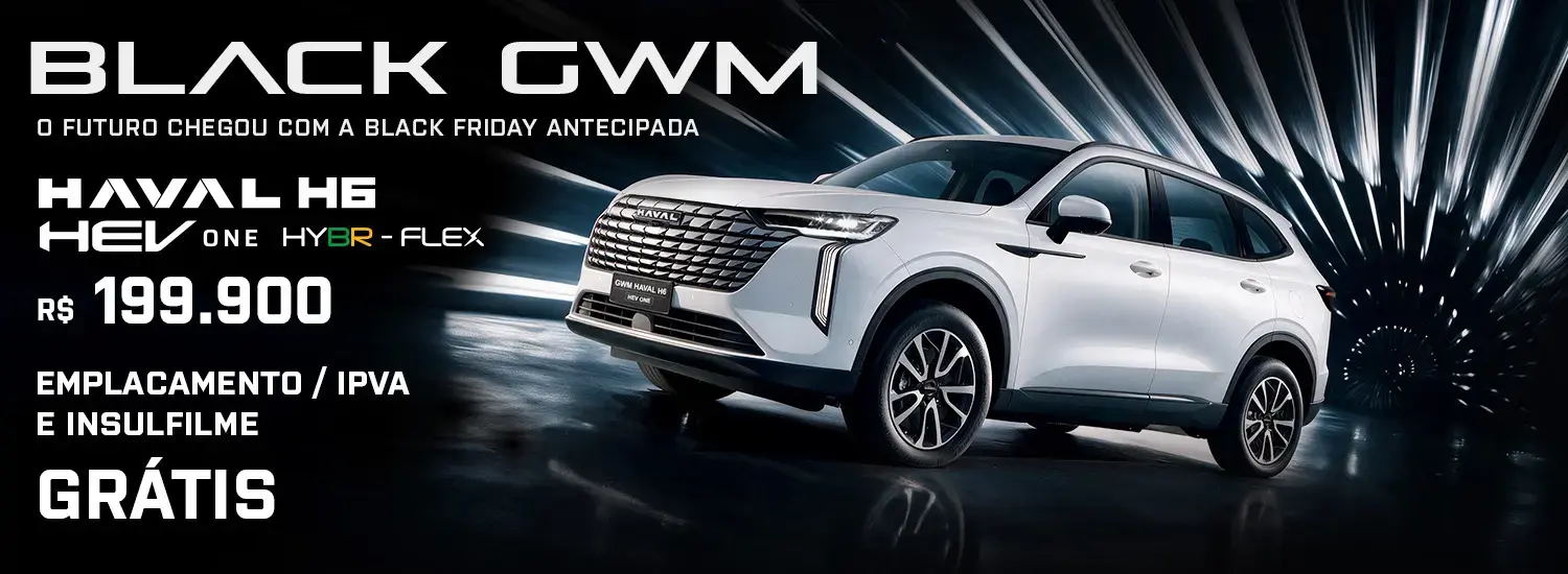 HAVAL H6 ONE
