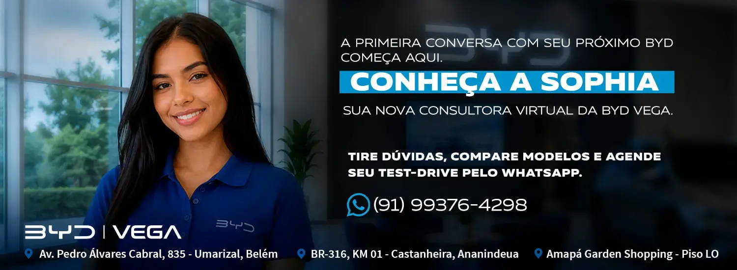 Ofertas BYD
