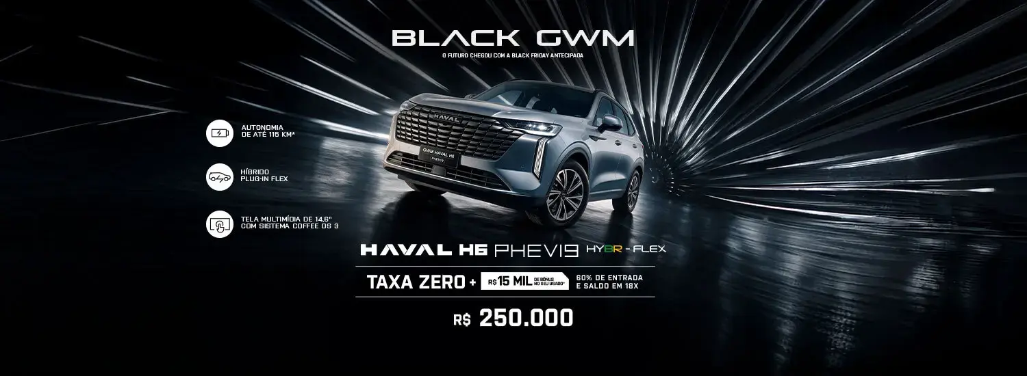 Haval PHEV 19