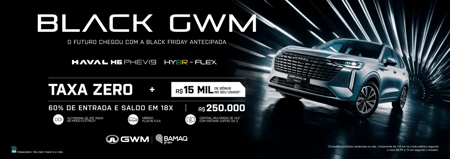 PHEV 19 Black 26