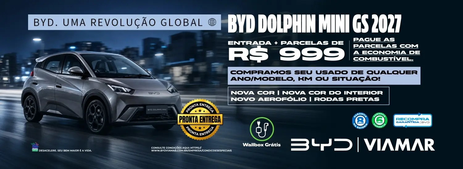 Dolphin mini