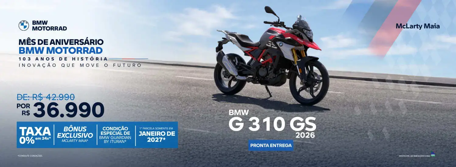 G 310 GS