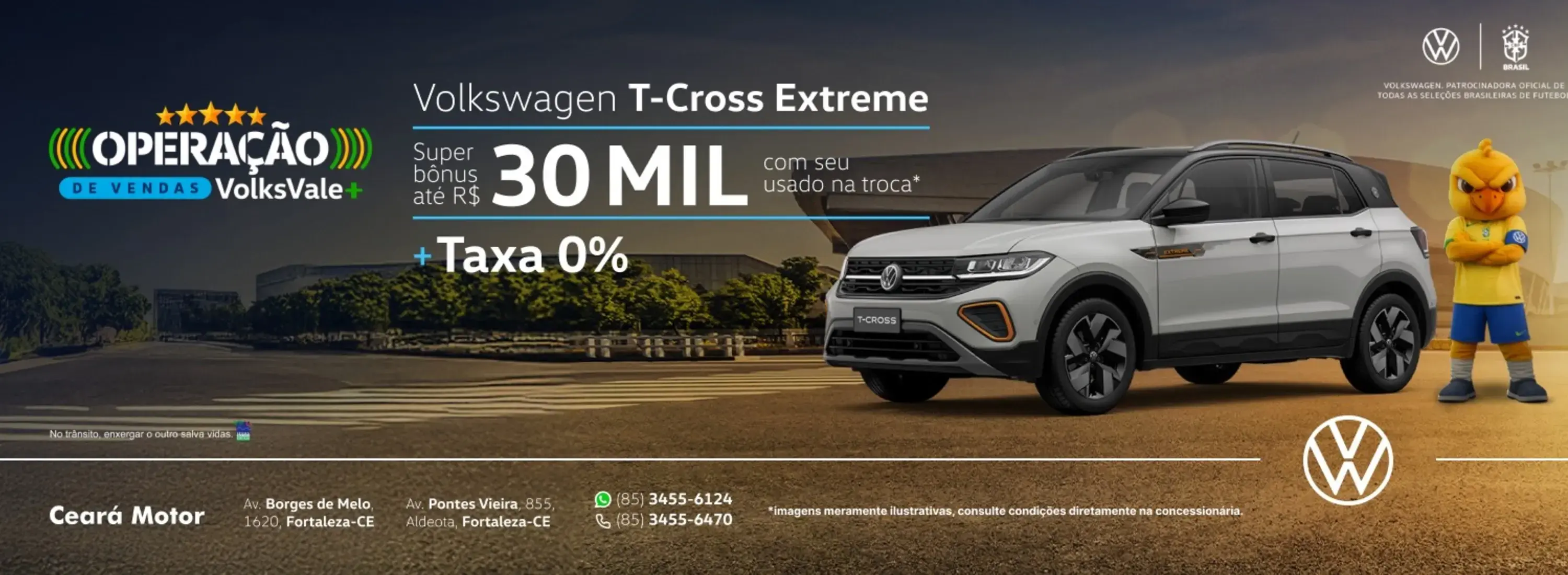 polo teste e comprove