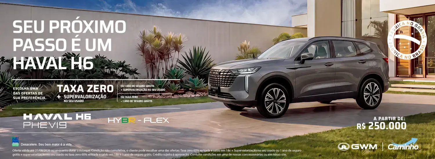 Haval Phev 19