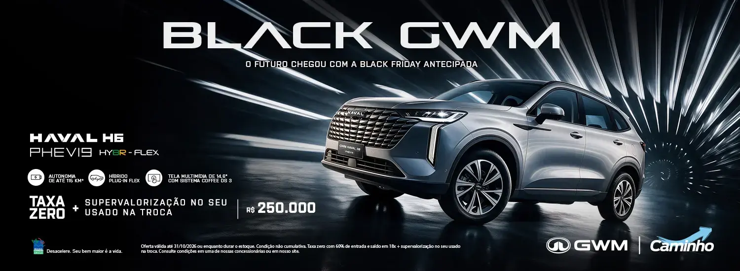 Haval Phev 19