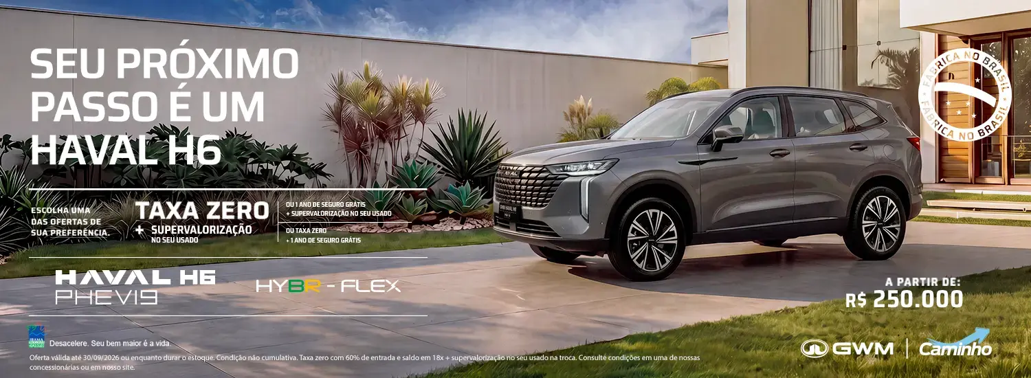 Haval Phev 19
