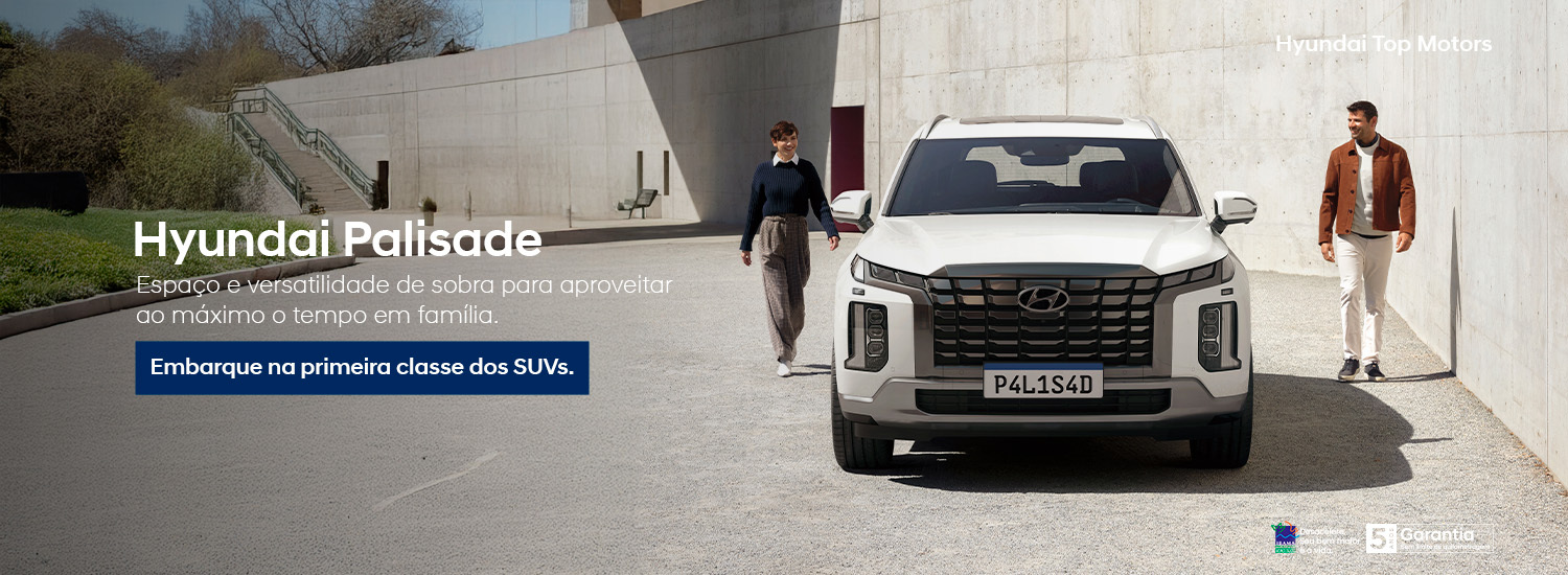 Institucional Palisade