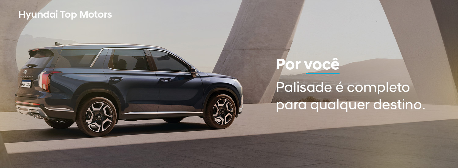 Palisade
