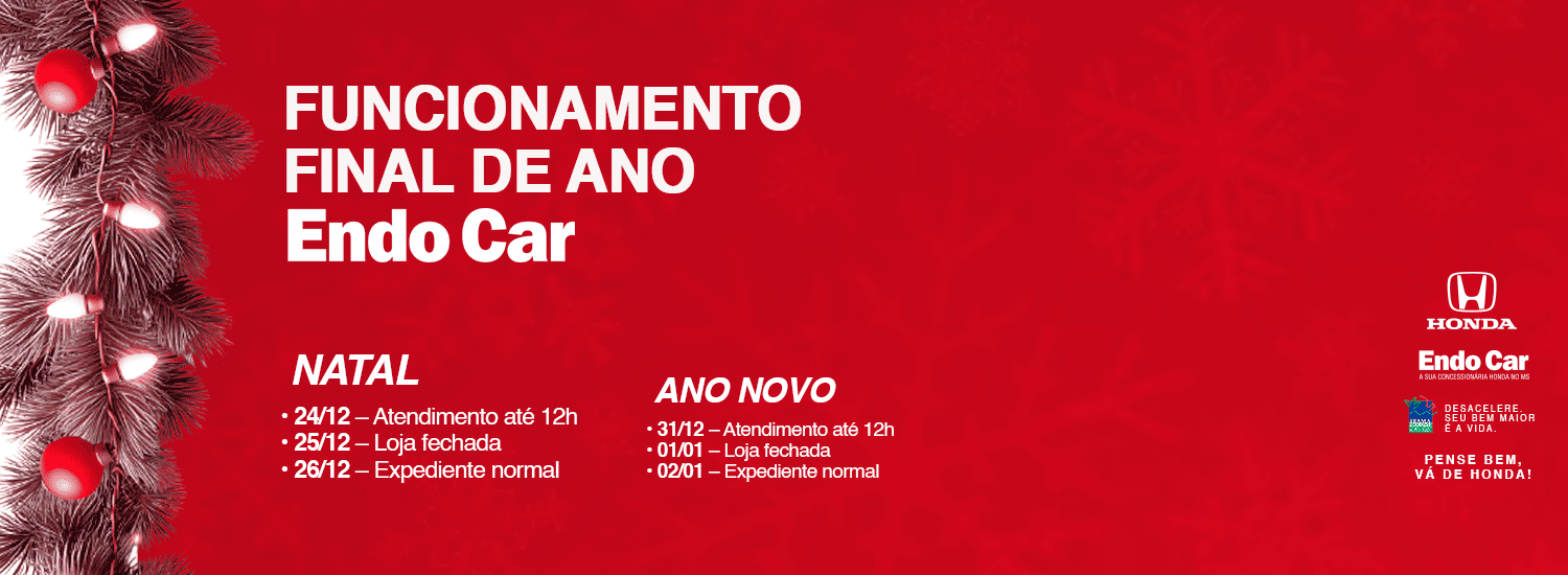 FUNCIONAMENTO ENDO CAR