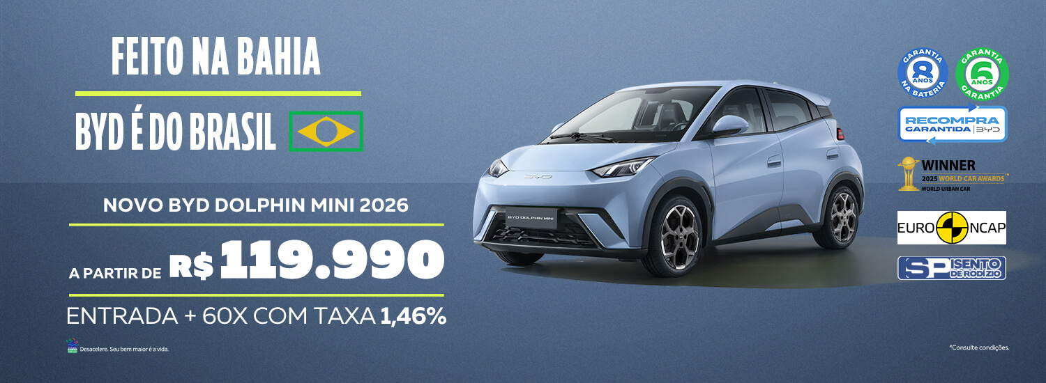 Dolphin Mini - Dezembro