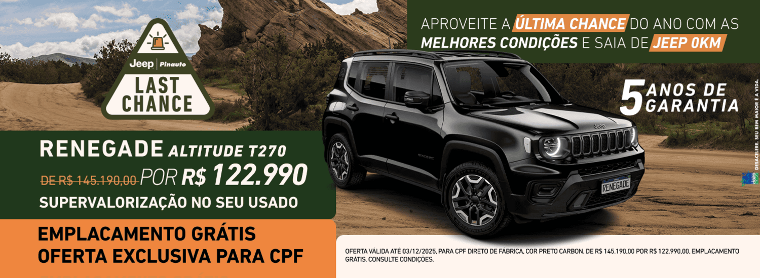 LAST CHANCE RENEGADE