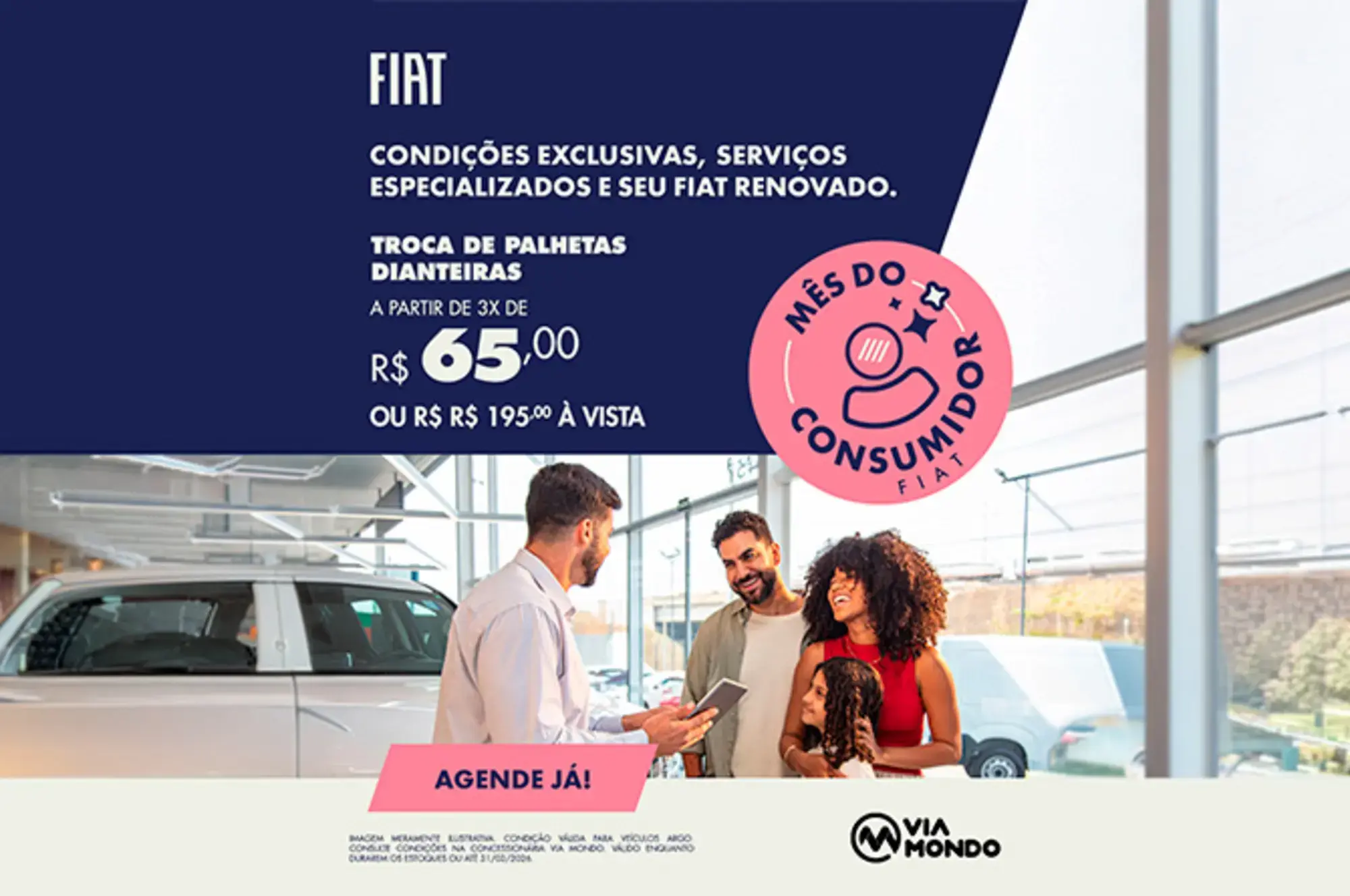 Imagem do Troca de palhetas dianteiras 