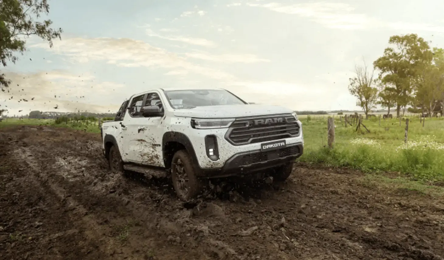 Imagem do Performance