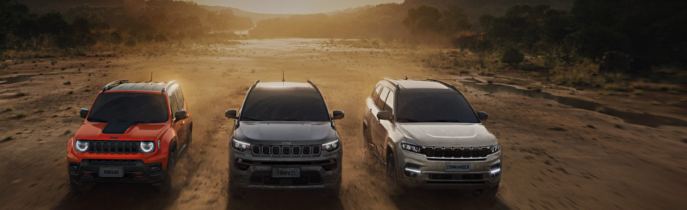 Locadoras e Frotistas