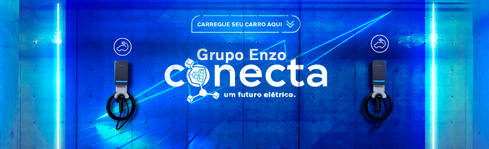 Grupo Enzo Conecta