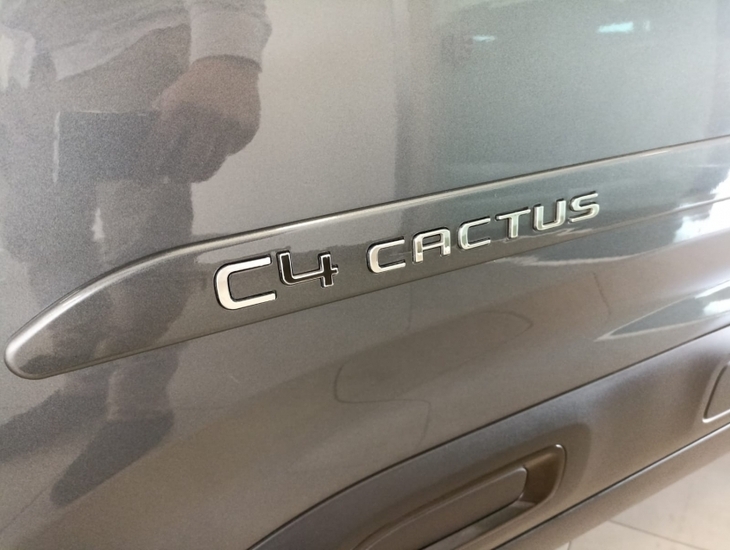 galeria C4 Cactus