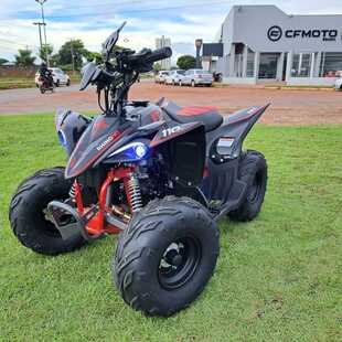 QUADRICICULO MINI RHINO 110 24 por R$ 11.900,00 é na Ascia Fiat Sinop