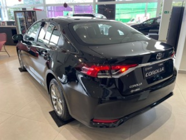 galeria Corolla