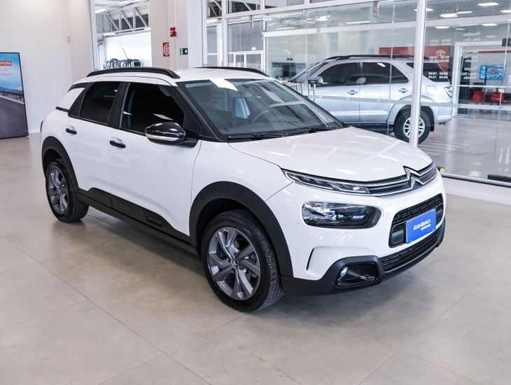 galeria C4 CACTUS