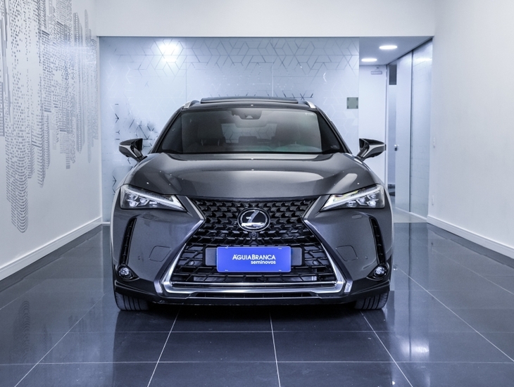 galeria UX 250h