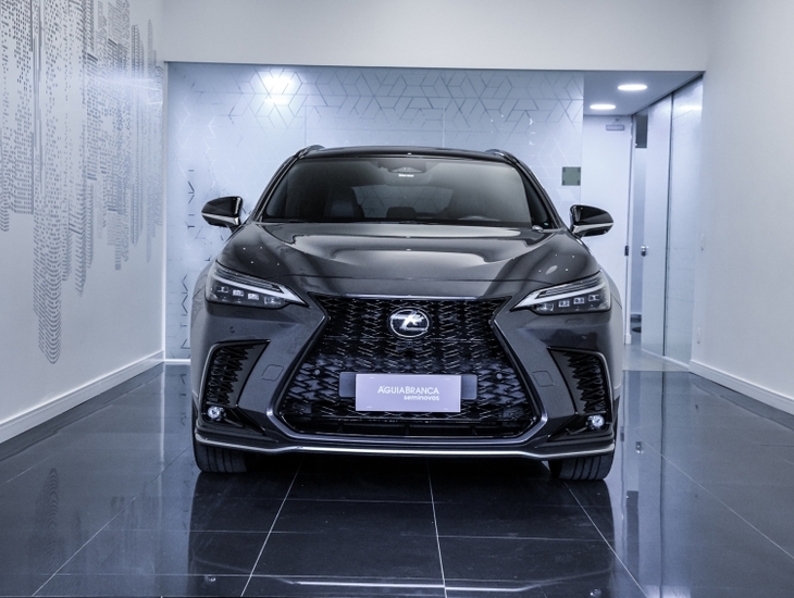 galeria NX 350h