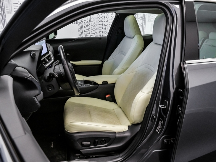 galeria UX 250h