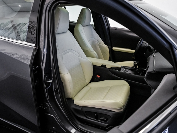 galeria UX 250h