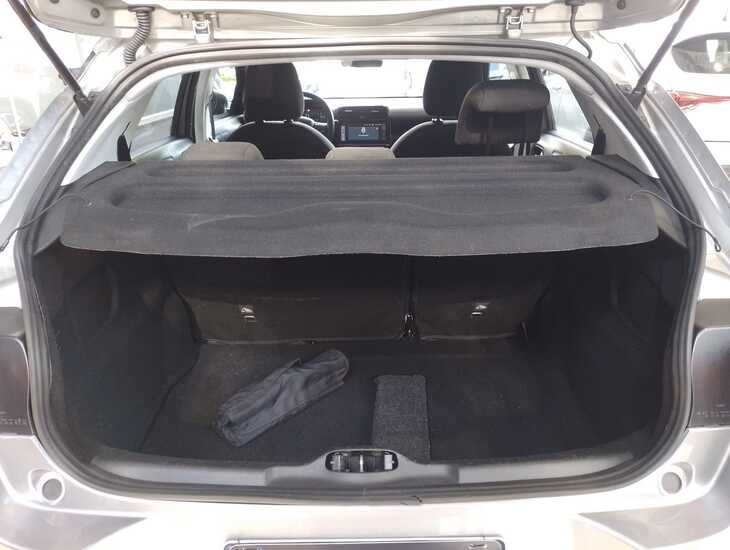 galeria C4 Cactus