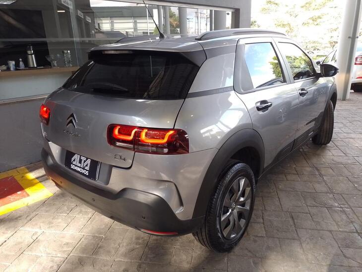 galeria C4 Cactus