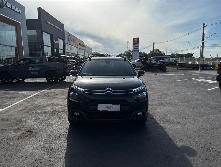 galeria C4 CACTUS